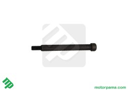 perno massetta originale polaris (3)